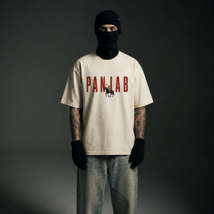 represent panjab