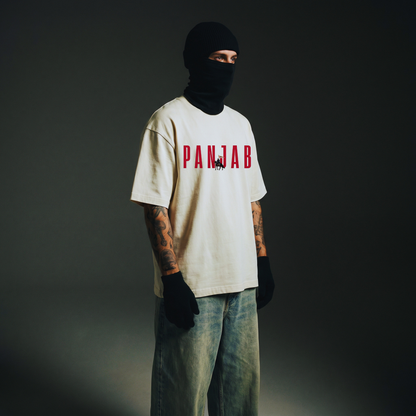 represent panjab